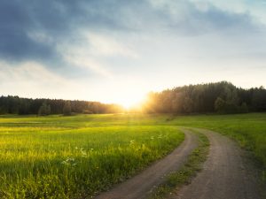 Bloggar om djur och natur